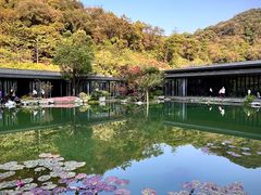 -云溪植物园
