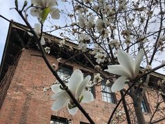 -清华大学-甲所餐厅