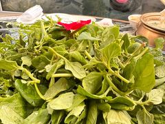 -慢丽江·云南野生菌土鸡锅(西山店)