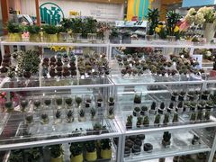 -KKV(常州新北万达广场店)