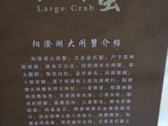 -七的湖·晚芳亭·阳澄湖农家菜·大闸蟹(莲花岛店)