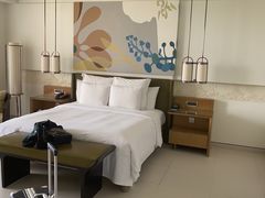 -三亚海棠湾万丽度假酒店