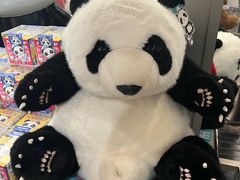 -熊猫屋(宽窄巷子景区店)