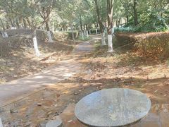 -洛龙公园