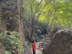 -云岫谷自然风景区