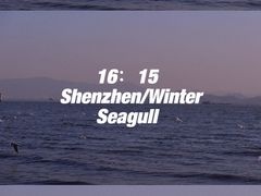 -深圳湾公园(南山区)