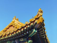 -颐和园