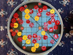 -松赞拉萨林卡酒店