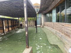 -春晖园度假酒店温泉