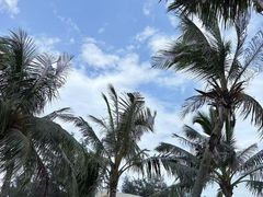 -玫瑰海岸文化旅游度假区