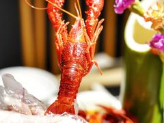 冰镇醉酒炮头小龙虾-酸喜·三度酸·贵州味