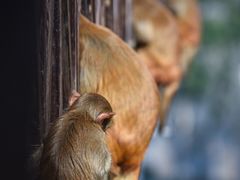 -重庆云阳龙缸景区