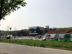 -黄海国家森林公园