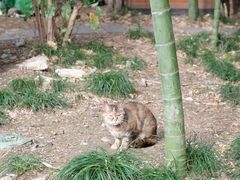 -苏州河梦清园环保主题公园