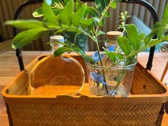 -梅间堂茶馆(绿地缤纷城店)