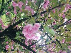 -宝界山林公园