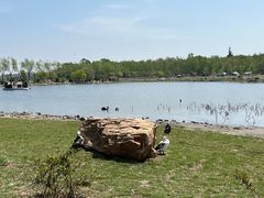 -长春市南湖公园