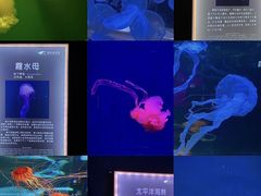 -郑州海洋馆