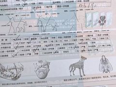 -瑞派·关忠动物医院·猫专科·犬专科(三环新城店)