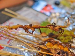 烤鱿鱼-烤五行·烧烤烤串(石佛营店)