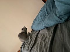 -袖虎·猫馆(体育西路店)