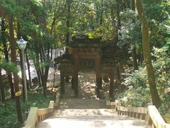 -缙云山景区