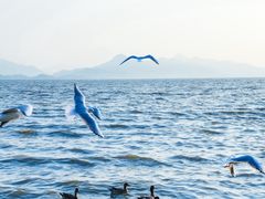 -深圳湾公园(南山区)