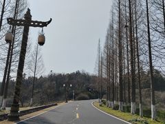 -宜兴龙背山森林公园