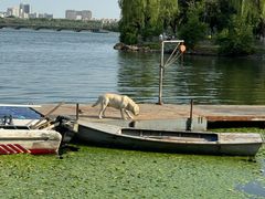 -长春市南湖公园