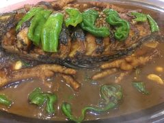 黄河大鲤鱼-大地烙馍村(商城路店)