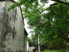 -东山风景区(洞庭东山)