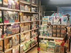 -袖虎宠物·金渐层缅因猫舍(灵芝店)