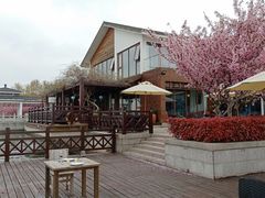 -望海·帆船主题咖啡厅•品茗下午茶(石湖景区店)