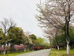 -尚贤河湿地