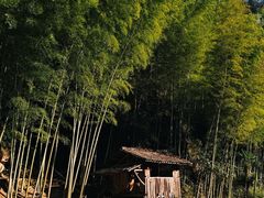 -林坑古村落