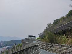 -福道