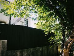 -南丫岛
