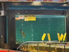 -新金盛·海鲜酒楼(盐田店)