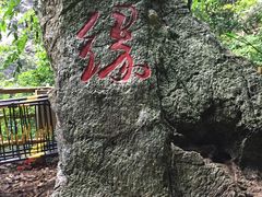 -英西峰林·洞天仙境