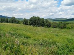 -塞罕坝国家级自然保护区