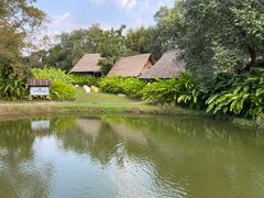 -大象粑粑造纸公园
