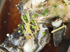 -钱大妈海鲜饭店(保利林语店)