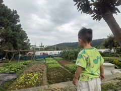 -山涧人家·旺山农家菜(旺山店)