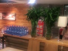 -颐辰舍岁岁羊(文昌万达景园店)