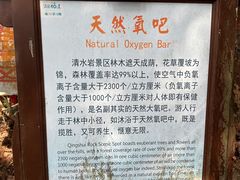 -安溪清水岩