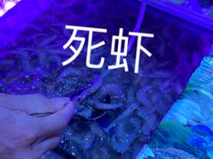 -李氏圣鲸大型自助餐