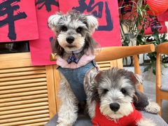 -小意思咖啡店(草桥店)