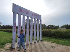 -杭州湾海上花田景区