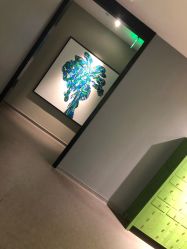 -奈瑞儿美养院