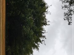 -南宁南湖公园